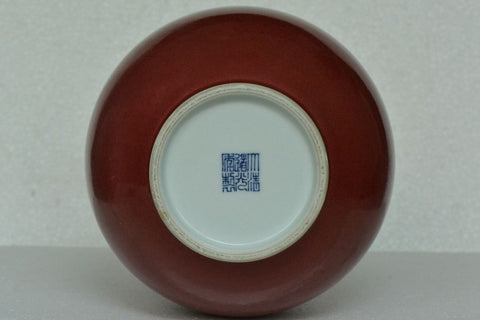 Fine Chinese Porcelain Vase Daoguang Mark