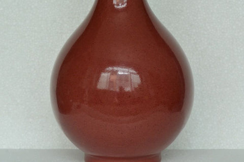 Fine Chinese Porcelain Vase Daoguang Mark