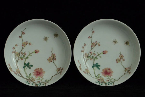 Pair of Chinese Famille Rose Dishes Daoguang Mark
